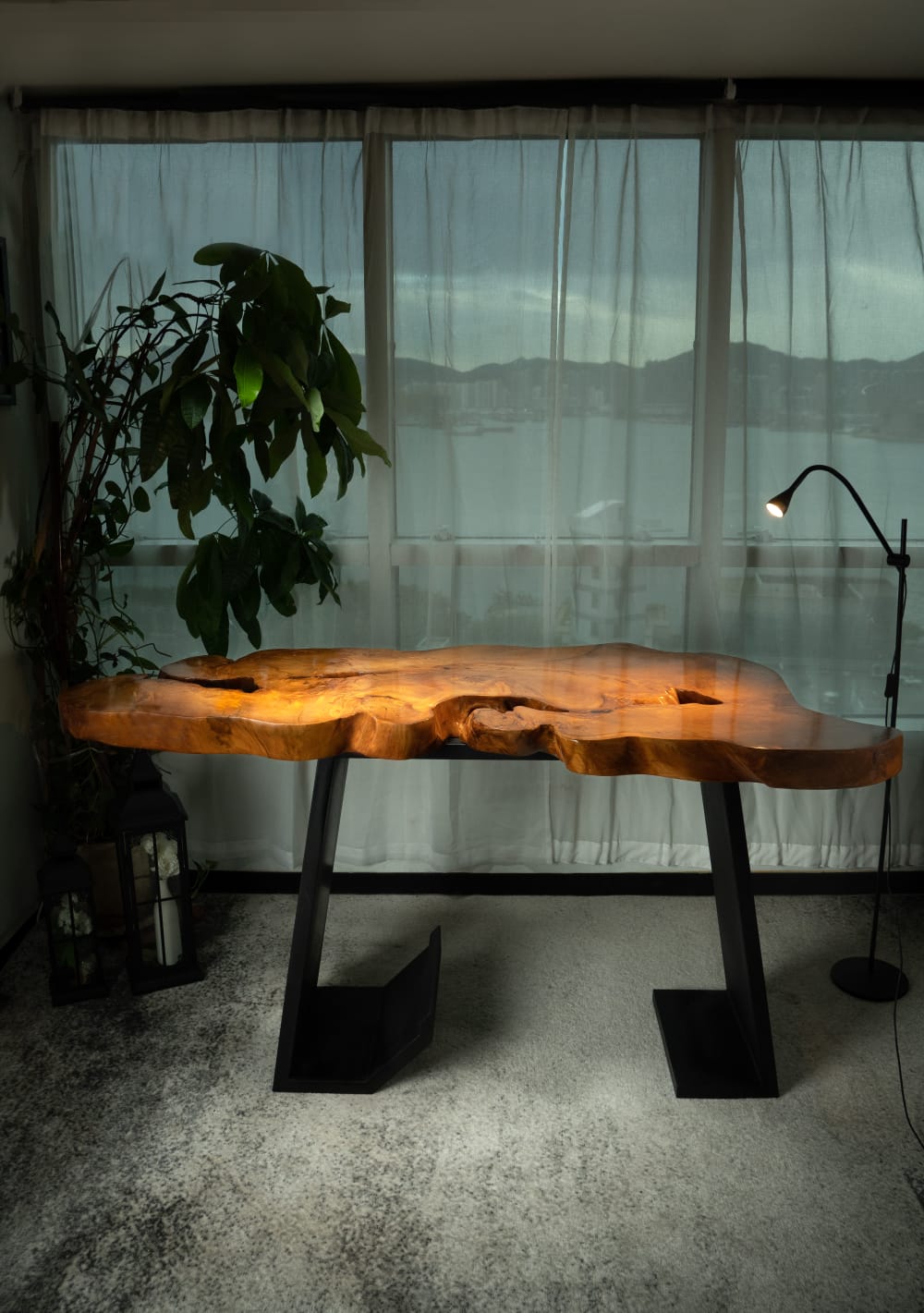 Ancient Swamp Kauri Console Table